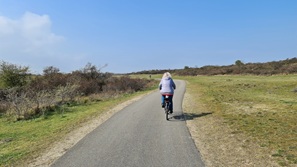 Ouddorp