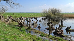 Ouddorp