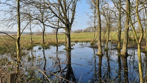 Ouddorp