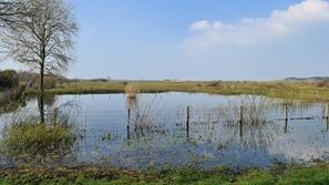 Ouddorp