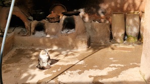 Marrakesch